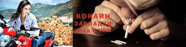 крисы Белокуриха
