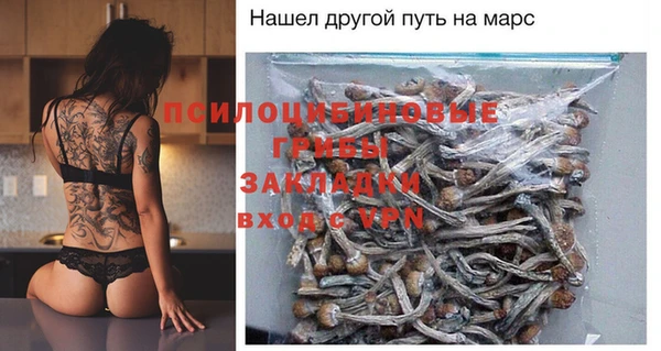 крисы Белокуриха