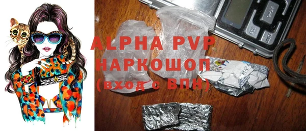 крисы Белокуриха