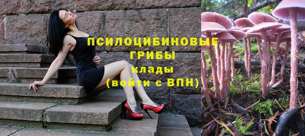 крисы Белокуриха