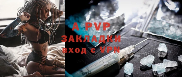 крисы Белокуриха
